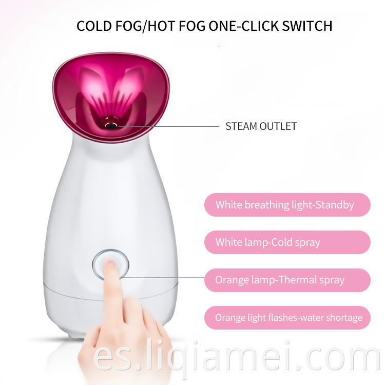 Environmentally Friendly Facial Steamer